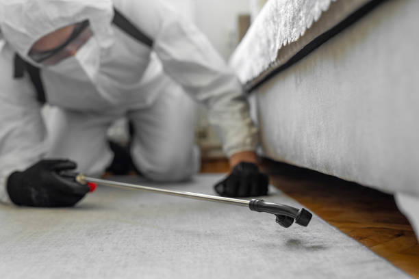 Professional Cockroach Control technician working in Hastings, MI