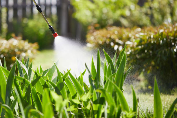 24/7 Emergency Cockroach Control experts in Hastings, MI