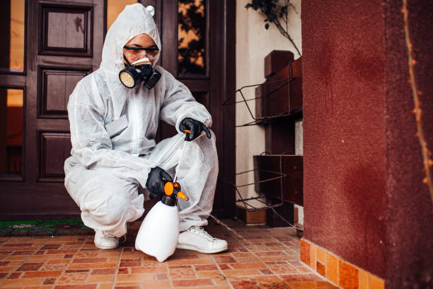 Reliable Cockroach Control contractor in Hastings, MI by Nex Pest Control